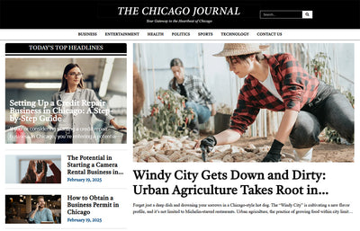 Publication on The Chicago Journal